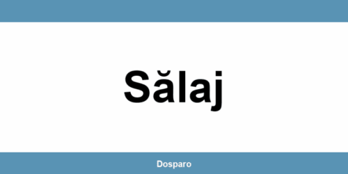 Contact DSP Sălaj: program de lucru și telefon