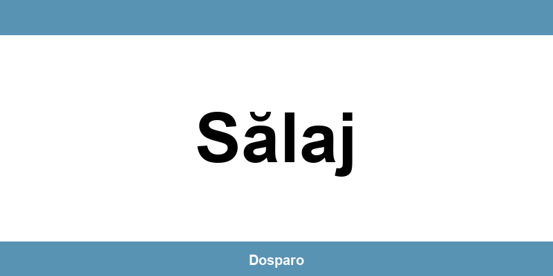 Contact DSP Sălaj: program de lucru și telefon